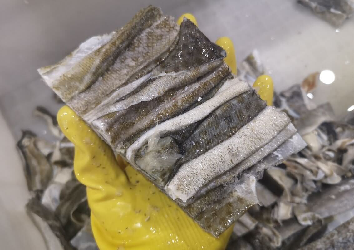 5dae5be1da388.jpg 5dae5be1da388.jpg