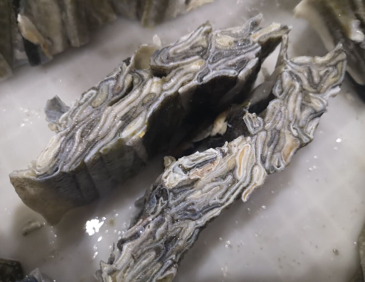 5dae5be233719.jpg 5dae5be233719.jpg