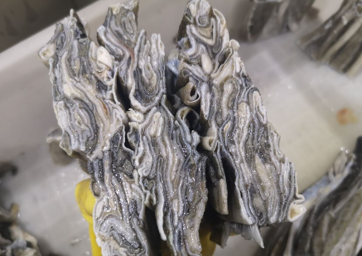 5dae5be28e5a7.jpg 5dae5be28e5a7.jpg