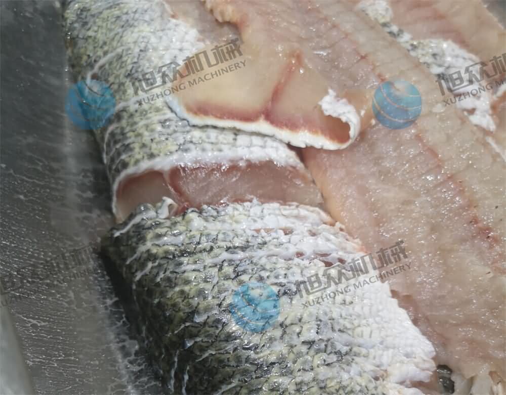 5dcf7355a24f2.jpg 5dcf7355a24f2.jpg