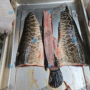 旭眾三枚開(kāi)片去中骨殺魚機(jī)殺黑魚草魚