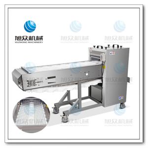 XZ-XQ69型切段機(jī)(雙通道)