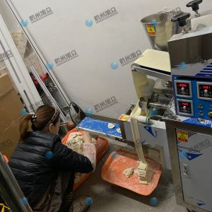仿手工包餃子機省時省力開店神器！