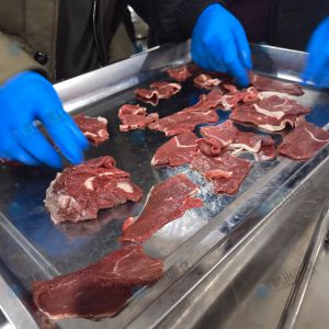 XZ-1000魚片機，30度斜切2.5mm牛肉片